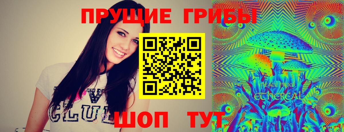 Псилоцибиновые грибы Psilocybine cubensis Карасук